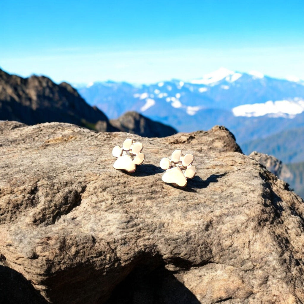 PENDIENTES HIPOALERGÉNICOS